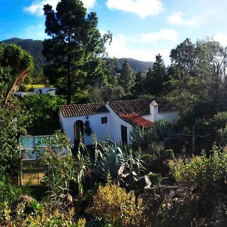 El Oasis Otel El Paso Dış mekan fotoğraf