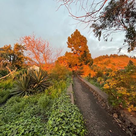 El Oasis Otel El Paso Dış mekan fotoğraf