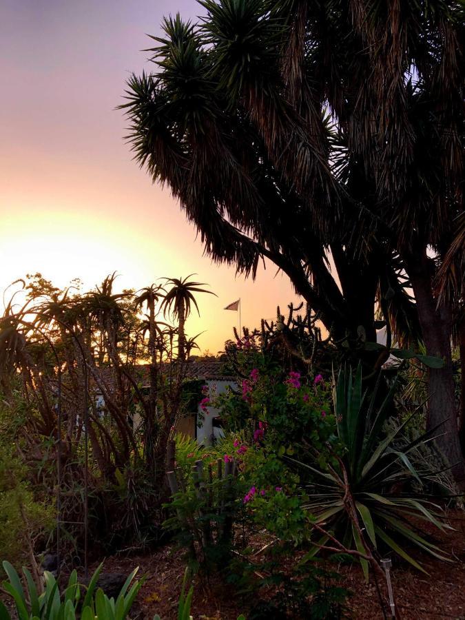El Oasis Otel El Paso Dış mekan fotoğraf