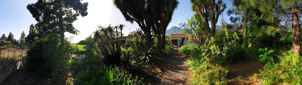 El Oasis Otel El Paso Dış mekan fotoğraf