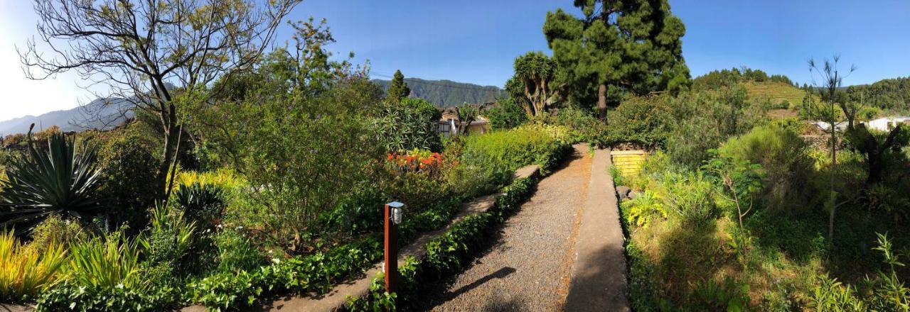 El Oasis Otel El Paso Dış mekan fotoğraf