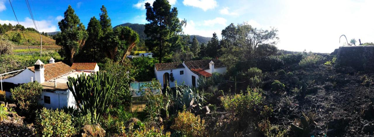 El Oasis Otel El Paso Dış mekan fotoğraf