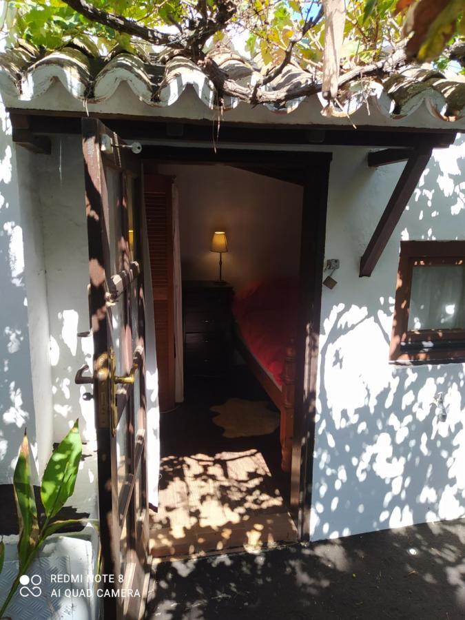 El Oasis Otel El Paso Dış mekan fotoğraf