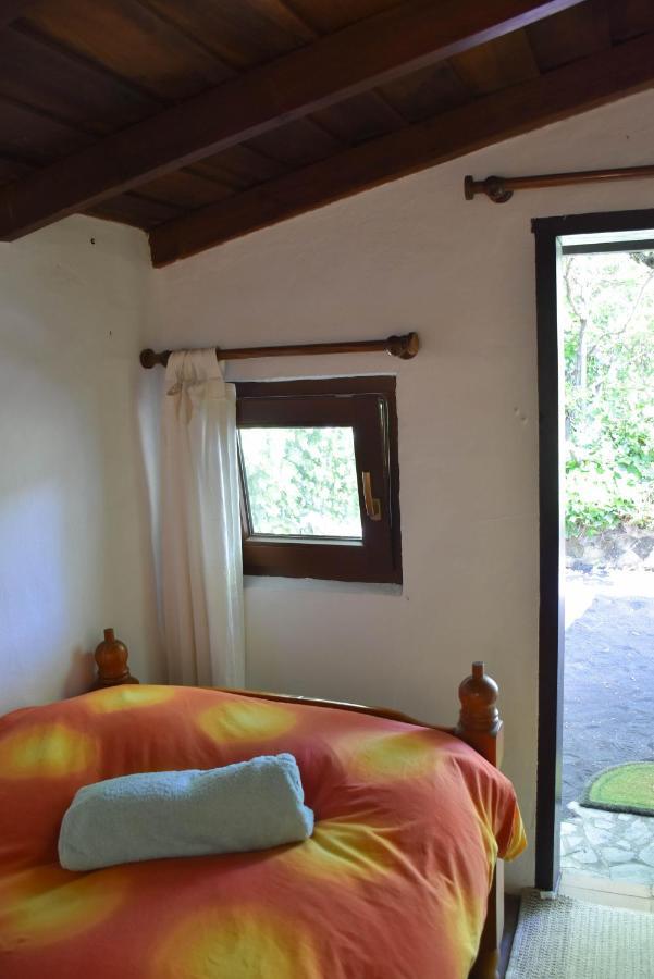 El Oasis Otel El Paso Dış mekan fotoğraf