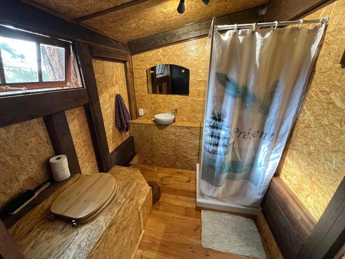 El Oasis Otel El Paso Dış mekan fotoğraf