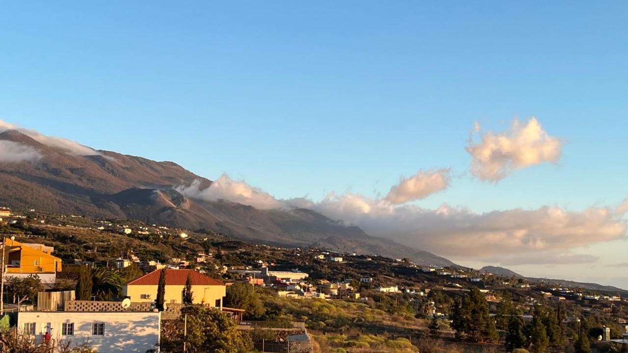 El Oasis Otel El Paso Dış mekan fotoğraf