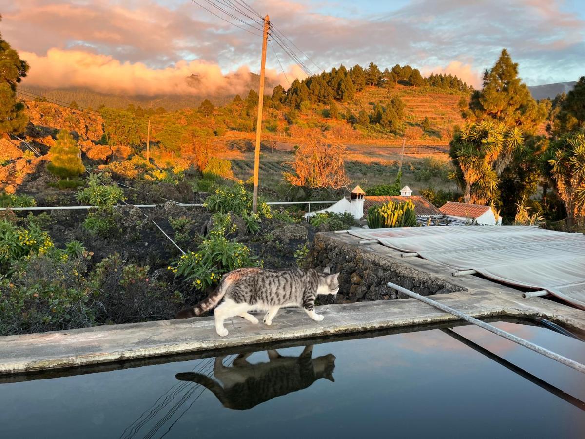 El Oasis Otel El Paso Dış mekan fotoğraf