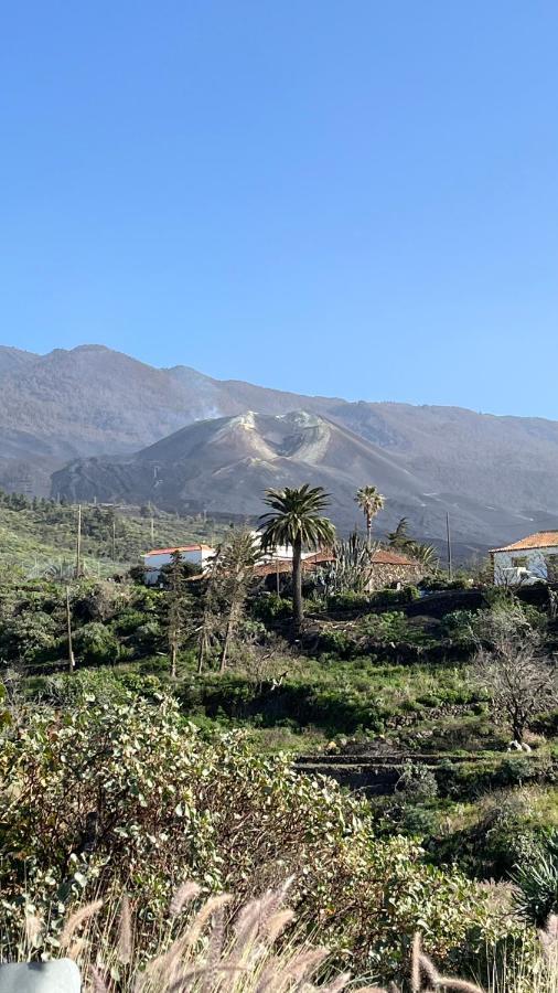 El Oasis Otel El Paso Dış mekan fotoğraf