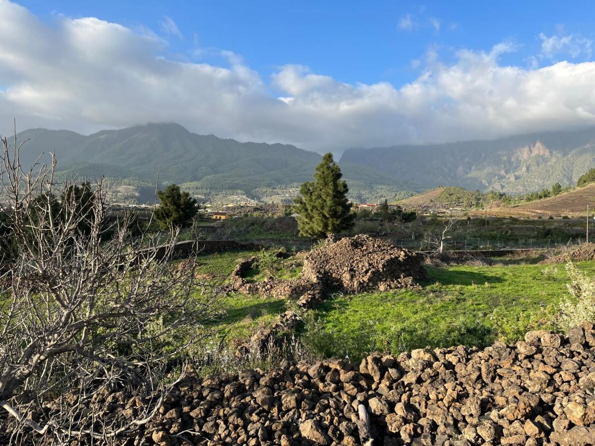 El Oasis Otel El Paso Dış mekan fotoğraf