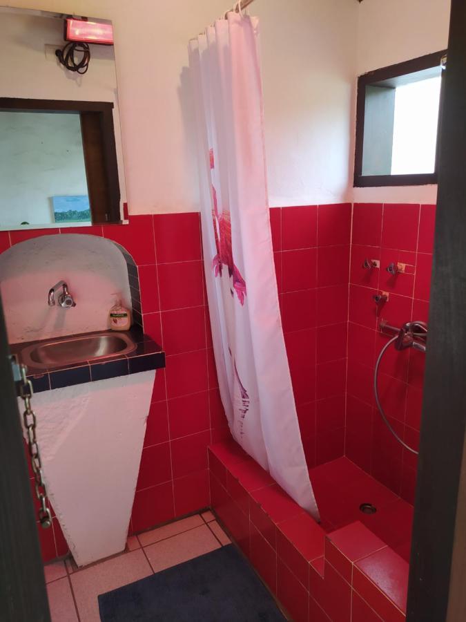 El Oasis Otel El Paso Dış mekan fotoğraf